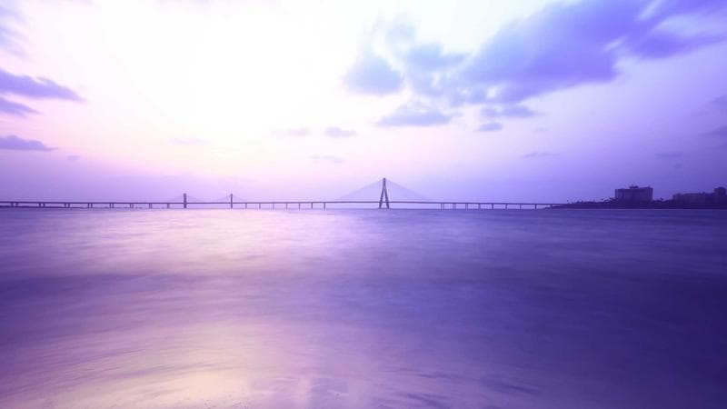 Biểu dương chuyển đổi số trong cộng đồng dân cư