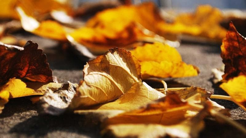 Đẩy mạnh dịch vụ công trực tuyến phục vụ người dân